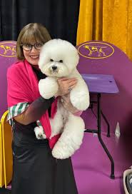 Jennifer McClintock-Shirley