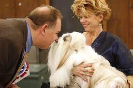 Best Of 2010 Fernando Salazar Wichita Eagle Shih Tzu I Love Dogs Best