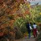 Fall Guided Meditation Hike - Sonoma Botanical Garden, 12841 Sonoma Hwy Event Image