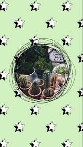 Vsco Wallpaper Picture Collage Wall Picture Collage Vsco Green Wallpaper