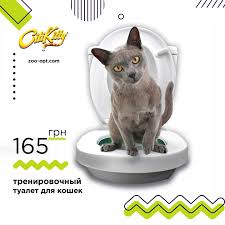 novinka citikitty sitikitti nabor nasadkok dlya unitaza s pomoshyu kotoryh kot cherez mesyac smozhet nauchitsya polzovatsya unitazom ustrojstvo