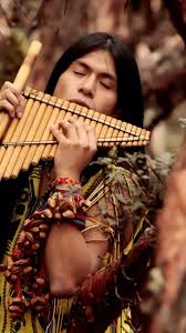 Epingle Par Norma Thiel Sur Musica Flute De Pan Photo Indien Flute