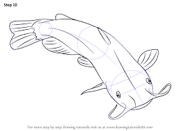 2) from the middle of the rectangle, draw one vertical mark off the width and height of the picture. Learn How To Draw A Catfish Fishes Step By Step Drawing Tutorials