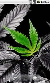 Search for your name in the searchbox below and see what comes up! Free Weed Wallpapers Hd Apk Download For Android Getjar