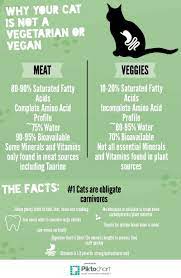 Cats Are Not Vegans Or Vegetarians It S An Inappropriate Diet For An Obligate Carnivore And Here S Why Http Meghangage001 Animal Nutrition Vegetarian Vegan