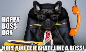 Happy Boss Day Hope You Celebrate Like A Boss Meme Memezila Com
