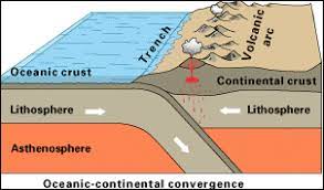 Plate Tectonics Flashcards Quizlet