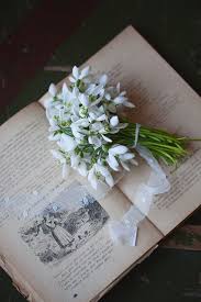 Untitled Book Flowers Spring Flowers Beautiful Flowers