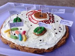 Plant cells have a rigid, protective cell wall made up of polysaccharides. Animal Cell Model Ideas For Your Science Project Easy And Creative Animal Cell Animal Cells Model Cell Model
