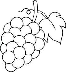 Gambar mewarnai buah gambar buah anggur (supercoloring.com) gambar buah dalam keranjang (pinterest.com) tidak hanya itu, anda juga bisa memilih gambar buah untuk kemudian diwarnai oleh anak anda. Buah Archives Pintar Mewarnai
