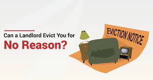 Check spelling or type a new query. Common Reasons For Tenant Eviction Buyrentkenya
