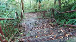 Kampung chadak ulu kinta perak hdkembar buaya. Mohd Faiz Bin Abdul Manan Hutan Lipur Ulu Kinta