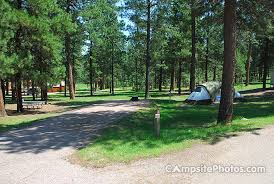Check spelling or type a new query. Custer State Park Campsite Photos Reservations Campground Info