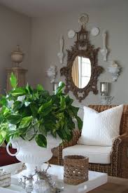 We did not find results for: Your Guide To Growing A Money Plant At Home