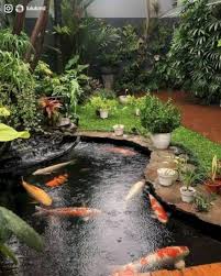 Kolam ikan minimalis, desain inpirasi kolam ikan trend 2019 lebih dari 15 gambar bisa anda lihat dan contoh untuk sebagai refrensi kolam ikan anda. Inspirasi Kolam Ikan Di Halaman Rumah Ngademin Banget Yukepo Com Line Today