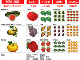Whether you are a backyard gardener, container gardener or a beginner who has just ventured into gardening, sfg is equally beneficial to all. Square Foot Vertical Gardening Why You Should Be In The Know Pinetree Garden Seeds Pinetree Garden Seeds
