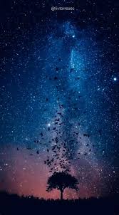 Ahora puedes mimetizarte viendo las aguas transparentes rodar sobre las piedras esta cascada. Fondo De Pantalla Galaxia En Movimiento Para Pc In 2021 Night Sky Wallpaper Beautiful Wallpapers Backgrounds Landscape Wallpaper