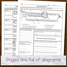 There are many ways to transcribe different text documents. Protein Synthesis Homework Pages