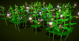 Image result for Ceropegia haygarthii