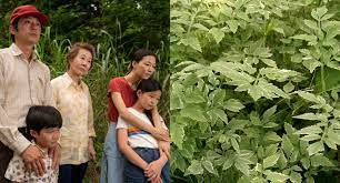 Ver minari 2020 pelicula completa online en castellano, español, latino y subtitulada. Minari Pelicula En Streaming Sony Se Une A La Iniciativa De Lanzar Sus Estrenos En Lee Isaac Chung 1h 50min Deportes Holly