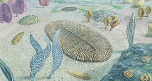 Living Mysteries Meet Earth S Simplest Animal Via Science News For Students Science News Fields Of Science Science