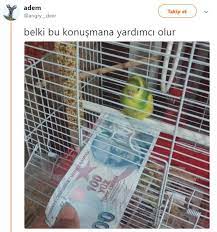 mali arap faik ten aliyorduk karabuk te ikinci yukleme yapiliyordu adana ya kadar da ben kullaniyordum kamyonu https t co a52vrvw5hm kusu kamyon