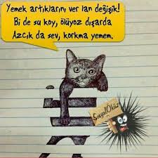 Her Canli Biz Insanlara Emanet Edilmistir Onlarin Dili Yok Diye Gormezden Gelme Sosyalokuz Okuz Su Sicak Birkapsu Birka Hayvanlar Hayvan Haklari Hayvan