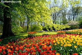 Beatufiul Flower Gardens Beautiful Flower Gardens Photos Garden Picturess Xemanhdep Photo Most Beautiful Gardens Beautiful Flowers Garden Beautiful Gardens