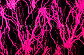 Motion background 1920x1080 pink roses, water, nature, macro, flowers, rose, black, pink wallpapers hd / desktop and mobile. Printed Spandex Black Neon Pink Spandex World