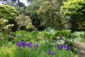 Maybe you would like to learn more about one of these? Woodland Garden Photo Galleries Mcbg Corp 2021 Fort Bragg California