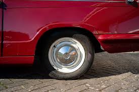 Image result for Damson Red 1994 Reliant