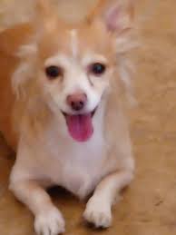 Introduction and photo sharing