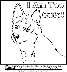 We did not find results for: Husky Puppy Coloring Pages Coloring Home