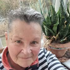 Born 1948 Blenheim Road, Wood Green, N22, maiden name Bennett. Was anyone a  Sea Cadet or as myself a GNTC , with TS Wizard, White Hart Lane in the  early 60's? Happy days 👍😄