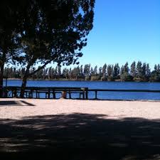 Pueden estar en laguna esmeralda o cerca. Laguna Esmeralda Lac A Melipilla
