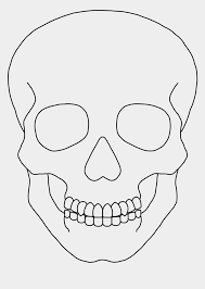 Check spelling or type a new query. Skull Outline Clip Art Simple Human Skull Drawing Is Popular Png Clipart Cartoon Images Explo Human Skull Drawing Easy Skull Drawings Simple Skull Drawing