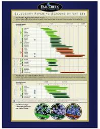 Blueberry Ripening Chart From Fallcreeknursery Com Garden