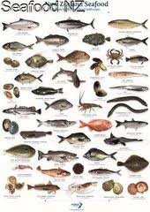 Fish Species Tea Towel Seafood Nz Fish Artwork Betta Fish Types Types Of Fish