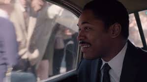 Lead cinematographer Trevor Forrest reflects