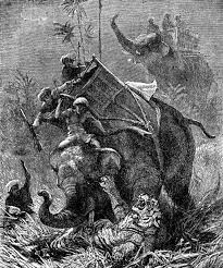 Hunting Bengal Tiger ...