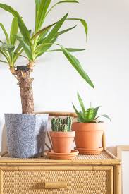 If you like it, you'll love a roundup of my 15 diy planters to help you decorate with plants! How To Care For Plants In Pots Without Drainage Holes Apartment Therapy