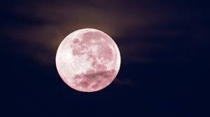 The pink, pink, pink, pink pink moon. A Pink Moon Arrives On Friday April 19 Here S What It Means Allure