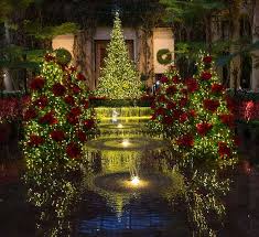 Longwood Gardens Christmas Michael Mcmahon Longwood Gardens Christmas Creative Christmas Trees Longwood Gardens
