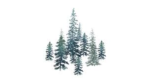 Lydia Hatch and Mark Gottlieb's Wedding Website