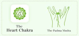 In other words, we can use them to help us meditate and open up our chakras. Mudras Mantras To Balance Awaken Your Chakras