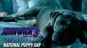 And now, a new set photo shows off that. John Wick Chapter 3 Parabellum Happy National Puppy Day Keanu Reeves Video Dailymotion