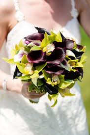 Dark purple flowers are a beautiful accent to a light colored bouquet of cream and green. Dark Purple Calla Lily Bouquet