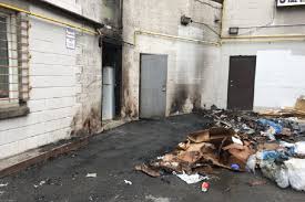 Salaam , is pollock fish is good for shia ? Common Halal And Non Halal Sea Foods International Shia News Agency