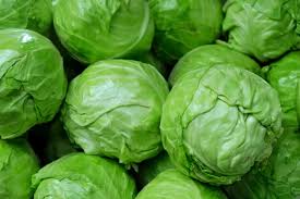 Check spelling or type a new query. Can You Freeze Cabbage Northern Nester