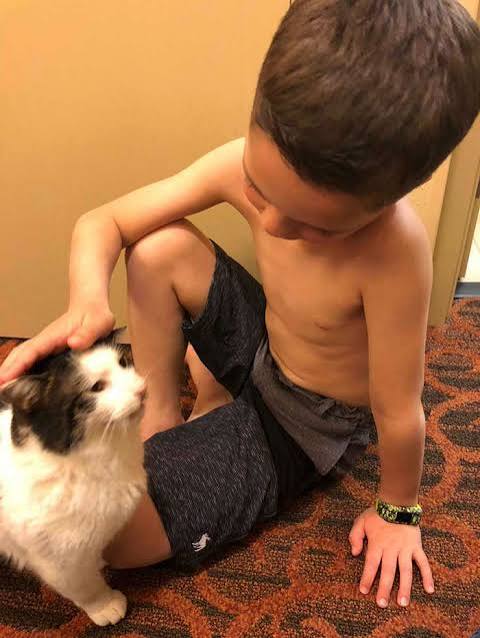 Bullied 7 Year-Old Finds Cat With Same Rare Eye Condition And Cleft Lip, And It's Like Destiny Exists | Bored Panda